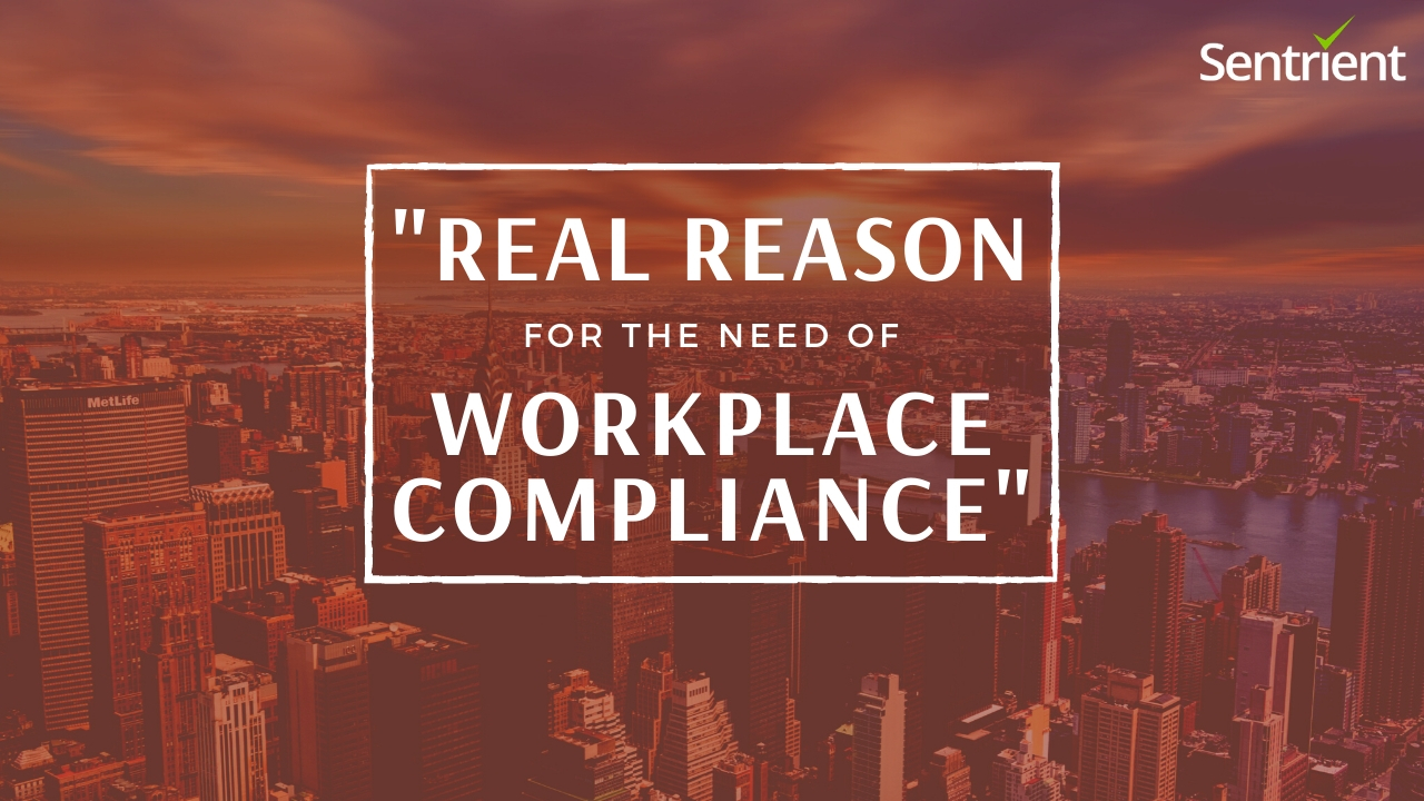 Importance of Having a Reliable Workplace Compliance System